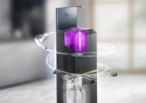 Cam Kết Đổi Mới và Phát Triển